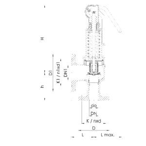Zawór bezpieczeństwa Seria 452bGL, Średnica nominalna DN: