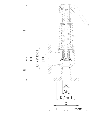 Zawór bezpieczeństwa Seria 452bGL, Średnica nominalna DN: