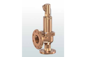 Zawór bezpieczeństwa Seria 852bGL, Średnica nominalna DN: