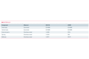 Zawór bezpieczeństwa Seria 852bGL, Średnica nominalna DN: