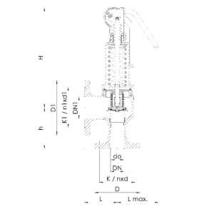 Zawór bezpieczeństwa Seria 852bGL, Średnica nominalna DN: