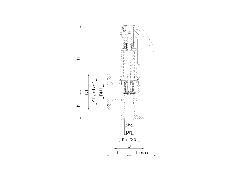 Zawór bezpieczeństwa Seria 852bGL, Średnica nominalna DN:
