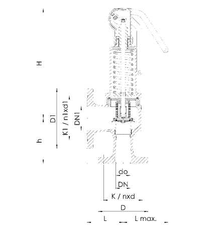 Zawór bezpieczeństwa Seria 852bGL, Średnica nominalna DN: