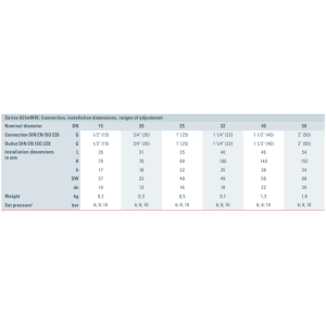 Zawór bezpieczeństwa Seria 651mWNK, Rozmiar gwintu (2): 1/