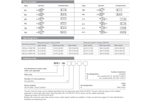 Zawór RPK1-06, Surface treatment: No designation, Seals: No