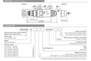Zawór SR1A-B2, Surface treatment: A, Seals: No designation,