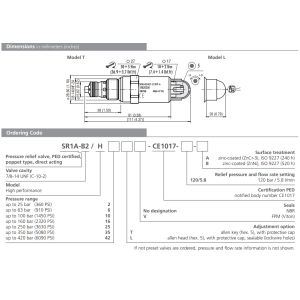 Zawór SR1A-B2, Surface treatment: A, Seals: No designation,
