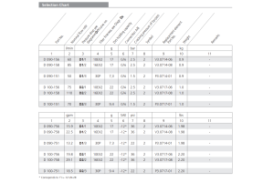 Filtr D090 D100, Rozmiar filtra: D2-G3/4"
