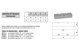 Blok zaworowy 00.01/07//01.00/07, Rozmiar gwintu (4): 1/4"