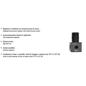 Regulator ciśnienia G1/4" SR REG 2-08-SR