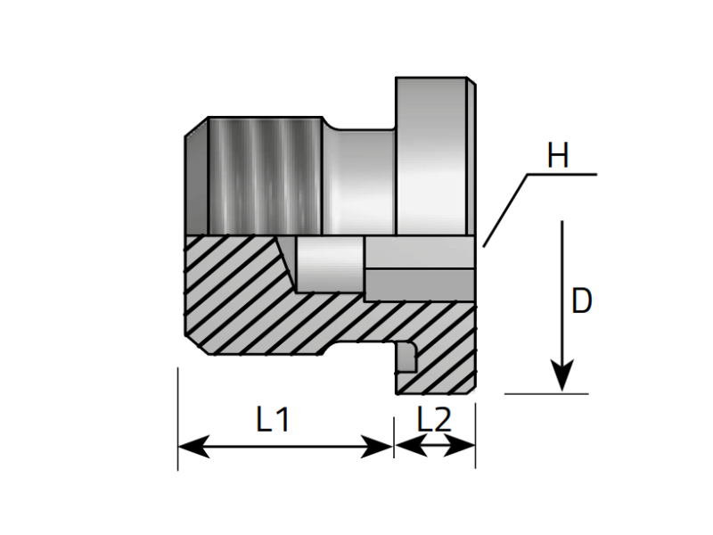 Śruba zaślepiająca imbus VSTI 1/8" BSPP, Materiał: Stal 