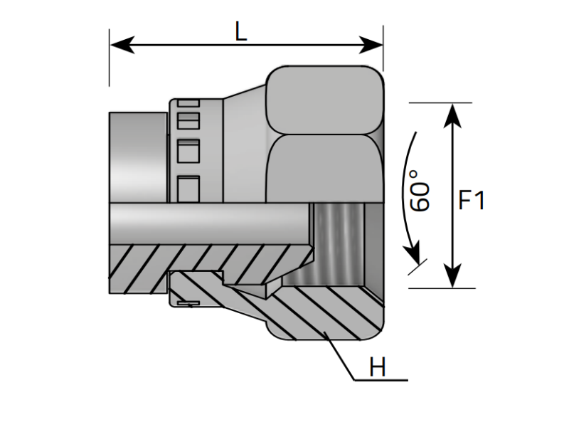 Nakrętka zaślepiająca VKAM 1/8" BSPP, Materiał: Sta