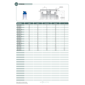 Uszczelnienie K40 14x8x6k/10, Symbole uszczelnień kastas OK