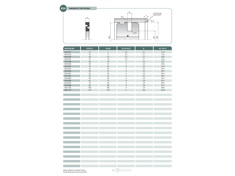 Uszczelnienie K54 12x7x2,5k, Symbole uszczelnień kastas OK: