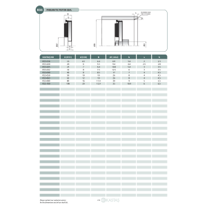 Uszczelnienie K55/K55F 19x4,5x4,4u, Symbole uszczelnień kas