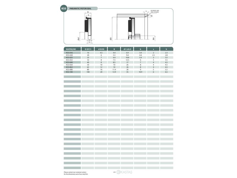 Uszczelnienie K55/K55F 19x4,5x4,4u, Symbole uszczelnień kas