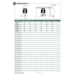 Uszczelnienie K57/K57F 10x3x5u, Symbole uszczelnień kastas 