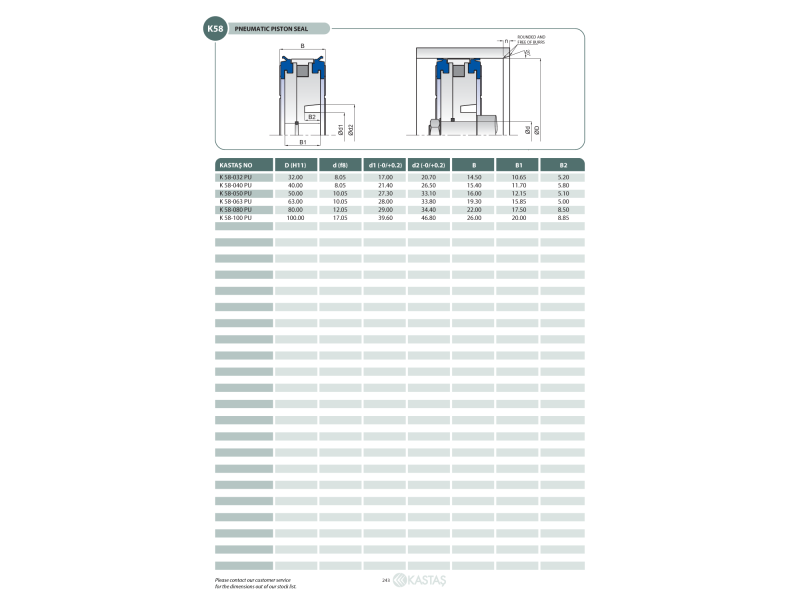 Uszczelnienie K58 32x8x14,5u, Symbole uszczelnień kastas OK