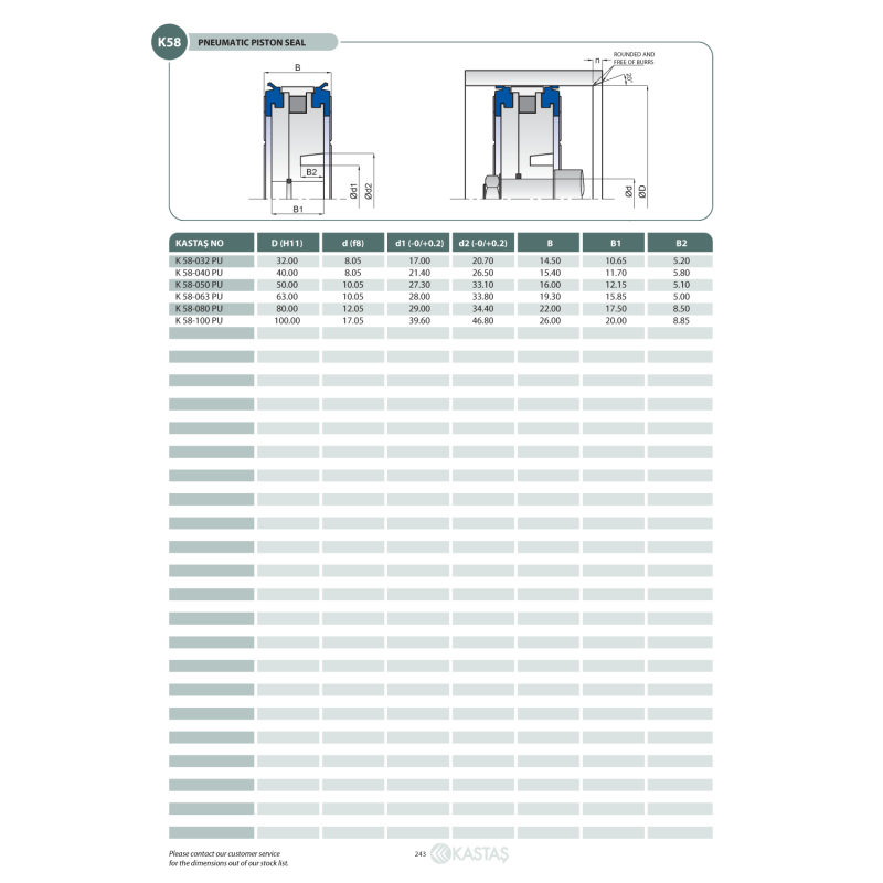 Uszczelnienie K58 32x8x14,5u, Symbole uszczelnień kastas OK