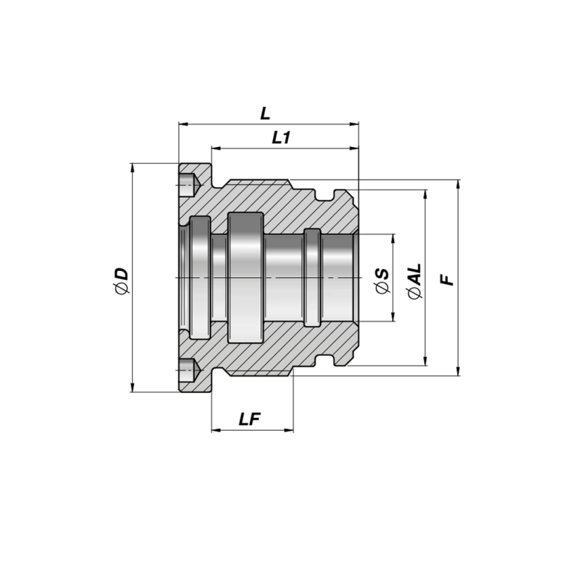 Dławnica M250 CGMM, Średnica tłoka: 100 mm, Tłoczysko: 4
