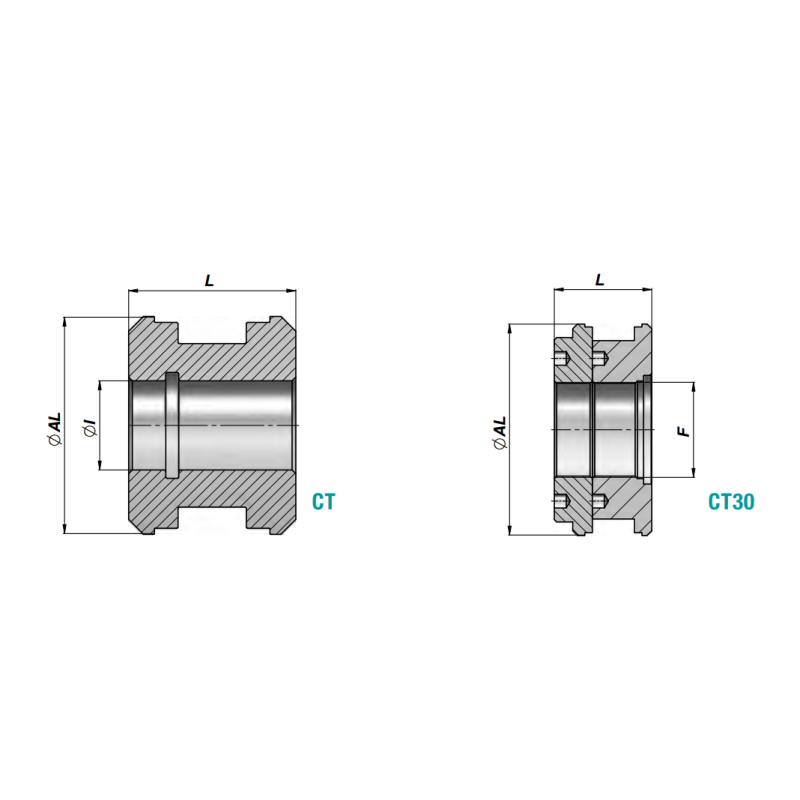 Tłok CT, Średnica tłoka: 30 mm, Średnica wewnętrzna tł