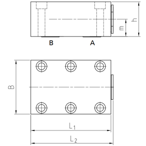 Zawór kontrolny do zamontowania na kolektorze DN6 - DN40 do