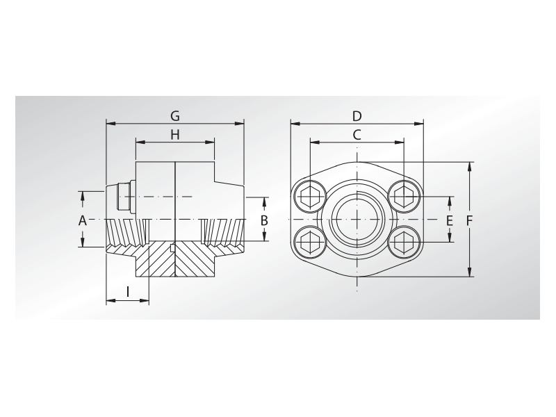 Flansza komplet DFS 1/2" SAE - 1/2" BSPP - L3000, Materiał: