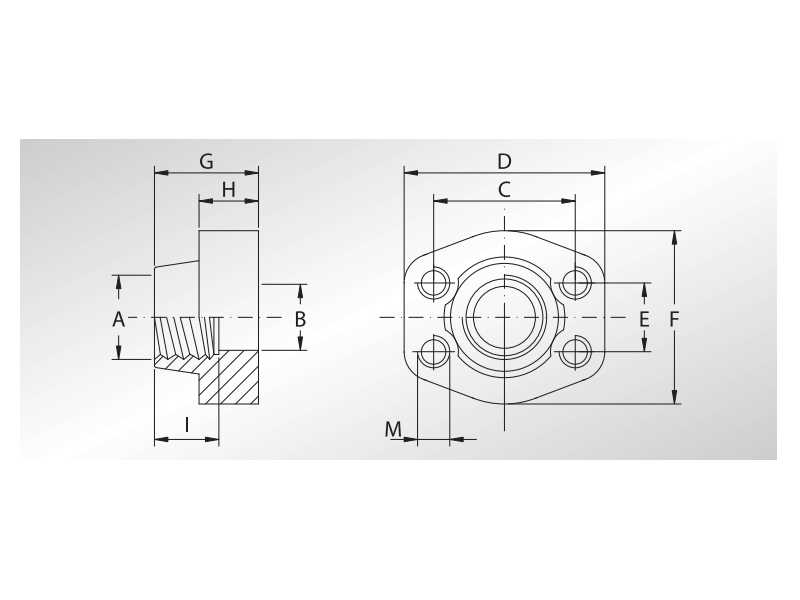 Przeciwkołnierz prosty GFS 1/2" SAE - 1/2" NPT - L3000, Mat