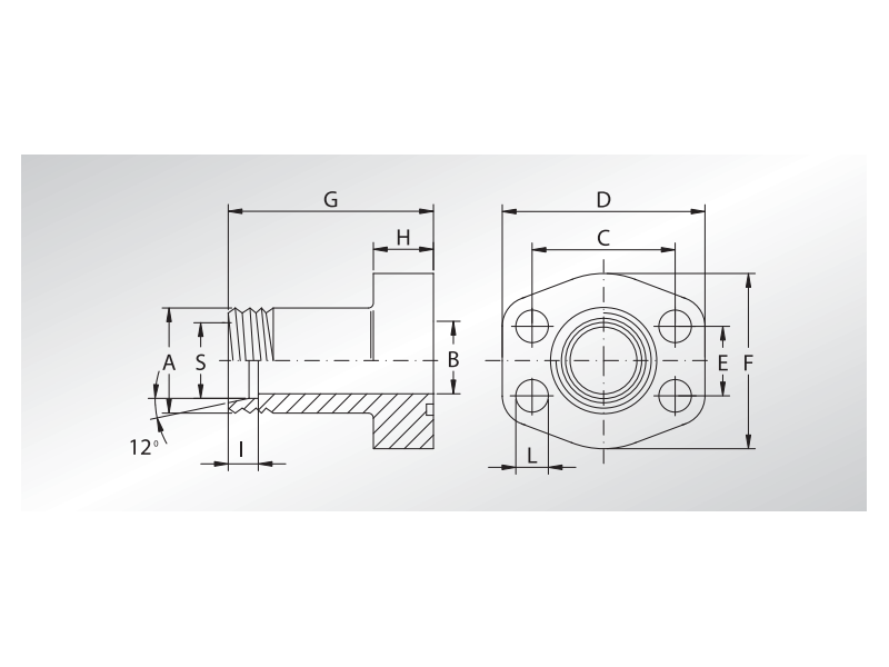 Złącze kołnierzowe proste SFCE M 24° 1/2" SAE - M22x1,5 