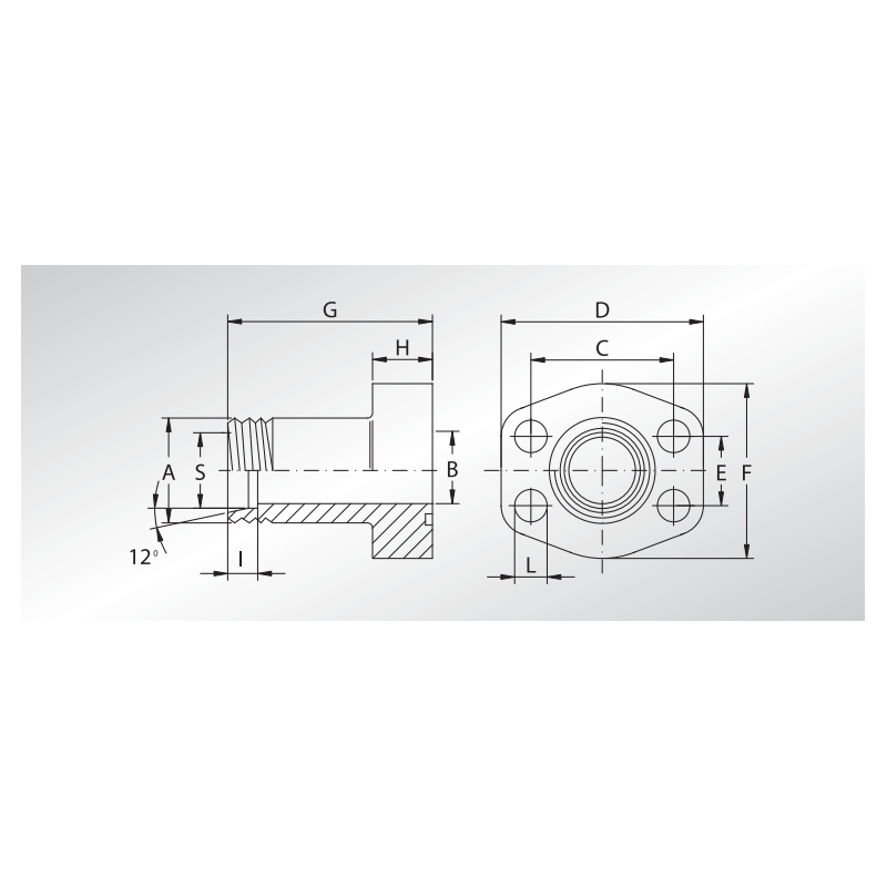 Złącze kołnierzowe proste SFCE M 24° 1/2" SAE - M22x1,5 