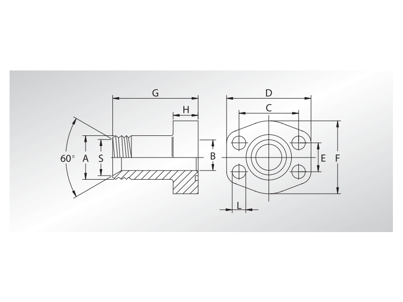 Złącze kołnierzowe proste SFCE 1/2" SAE - 1/2" BSPP 60° 