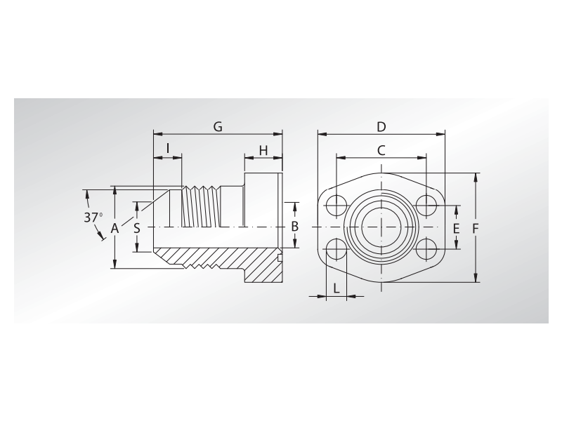 Złącze kołnierzowe proste SFCE 1/2" SAE - 3/4" JIC - L300
